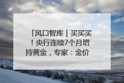 风口智库｜买买买！央行连续7个月增持黄金，专家：金价或仍易涨难跌