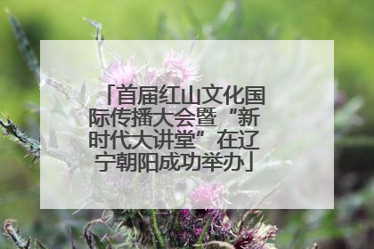 首届红山文化国际传播大会暨“新时代大讲堂”在辽宁朝阳成功举办