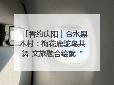 香约庆阳｜合水黑木村：梅花鹿鸵鸟共舞 文旅融合绘就“诗与远方”