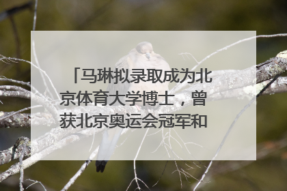 马琳拟录取成为北京体育大学博士，曾获北京奥运会冠军和4次世界杯冠军