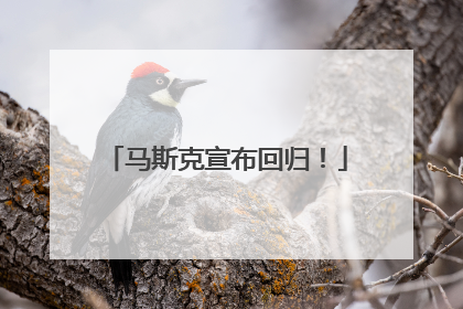 马斯克宣布回归！
