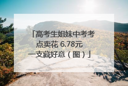 高考生姐妹中考考点卖花 6.78元一支藏好意（图）