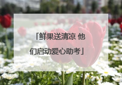 鲜果送清凉 他们启动爱心助考