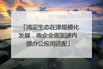 鸿蒙生态在津规模化发展，政企全面加速内部办公应用适配