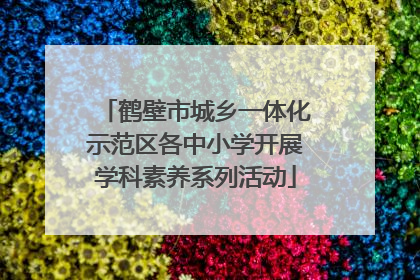 鹤壁市城乡一体化示范区各中小学开展学科素养系列活动