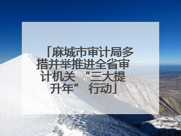 麻城市审计局多措并举推进全省审计机关 “三大提升年” 行动