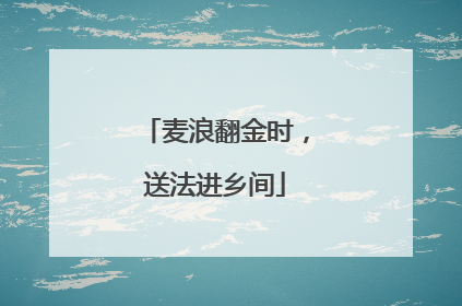 麦浪翻金时，送法进乡间
