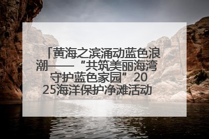黄海之滨涌动蓝色浪潮——“共筑美丽海湾 守护蓝色家园”2025海洋保护净滩活动暨“美丽江苏—江河湖海青蓝行”海洋篇在连云港举行