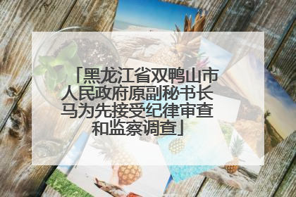 黑龙江省双鸭山市人民政府原副秘书长马为先接受纪律审查和监察调查
