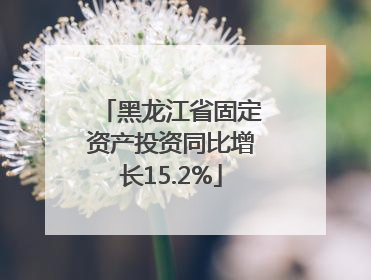黑龙江省固定资产投资同比增长15.2%