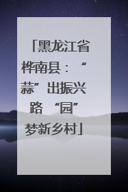 黑龙江省桦南县：“蒜”出振兴路 “园”梦新乡村