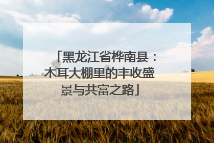 黑龙江省桦南县：木耳大棚里的丰收盛景与共富之路