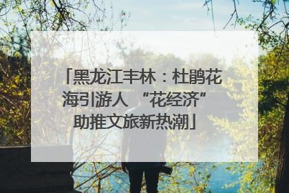 黑龙江丰林：杜鹃花海引游人 “花经济”助推文旅新热潮
