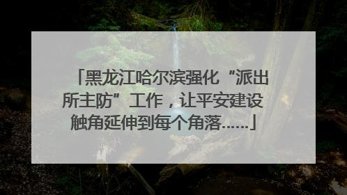 黑龙江哈尔滨强化“派出所主防”工作，让平安建设触角延伸到每个角落……