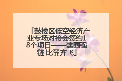 鼓楼区低空经济产业专场对接会签约18个项目——建圈强链 比翼齐飞