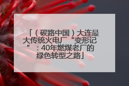 （碳路中国）大连最大传统火电厂“变形记”：40年燃煤老厂的绿色转型之路