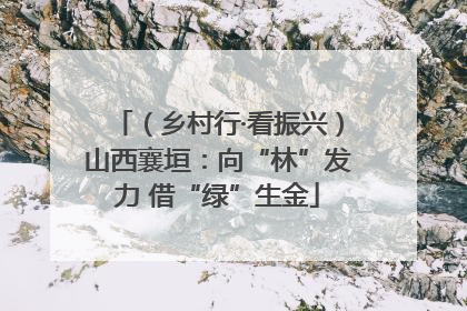 （乡村行·看振兴）山西襄垣：向“林”发力 借“绿”生金