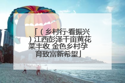 （乡村行·看振兴）江西彭泽千亩黄花菜丰收 金色乡村孕育致富新希望