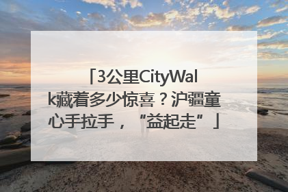 3公里CityWalk藏着多少惊喜？沪疆童心手拉手，“益起走”