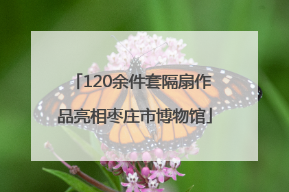 120余件套隔扇作品亮相枣庄市博物馆