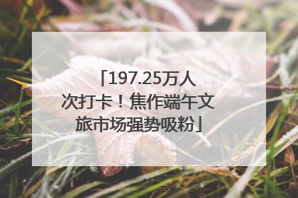 197.25万人次打卡！焦作端午文旅市场强势吸粉