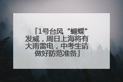 1号台风“蝴蝶”发威，周日上海将有大雨雷电，中考生请做好防范准备