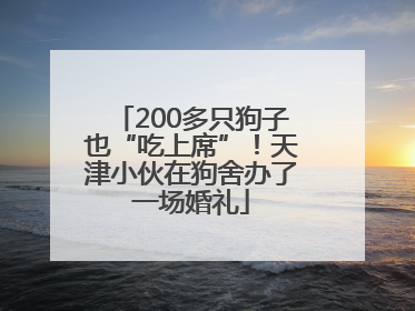 200多只狗子也“吃上席”！天津小伙在狗舍办了一场婚礼