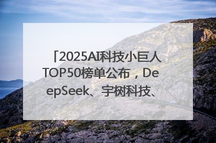 2025AI科技小巨人TOP50榜单公布，DeepSeek、宇树科技、蘑菇车联等企业荣誉上榜