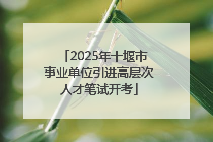 2025年十堰市事业单位引进高层次人才笔试开考