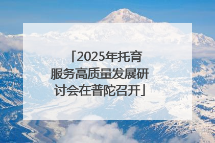 2025年托育服务高质量发展研讨会在普陀召开