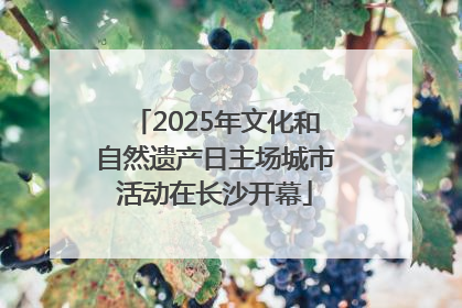 2025年文化和自然遗产日主场城市活动在长沙开幕