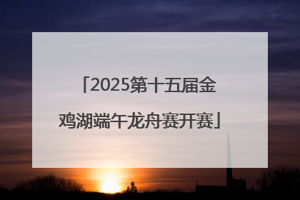 2025第十五届金鸡湖端午龙舟赛开赛