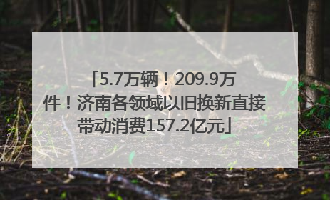 5.7万辆！209.9万件！济南各领域以旧换新直接带动消费157.2亿元