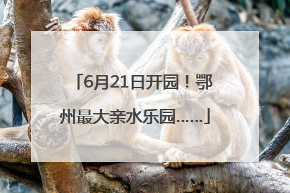 6月21日开园！鄂州最大亲水乐园……
