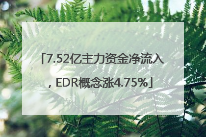 7.52亿主力资金净流入，EDR概念涨4.75%