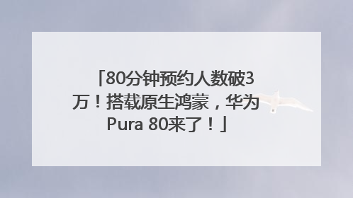 80分钟预约人数破3万！搭载原生鸿蒙，华为Pura 80来了！