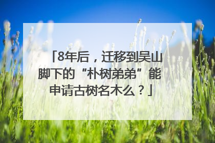8年后，迁移到吴山脚下的“朴树弟弟”能申请古树名木么？