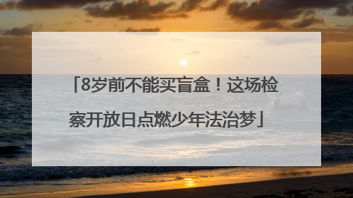 8岁前不能买盲盒！这场检察开放日点燃少年法治梦