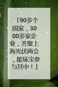 90多个国家，3000多家企业，齐聚上海光伏两会，能环宝参与其中！