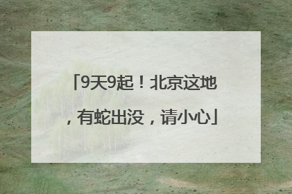 9天9起！北京这地，有蛇出没，请小心