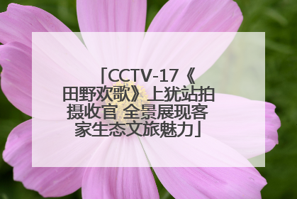 CCTV-17《田野欢歌》上犹站拍摄收官 全景展现客家生态文旅魅力
