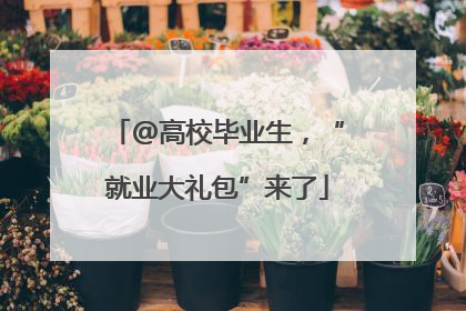 @高校毕业生，“就业大礼包”来了