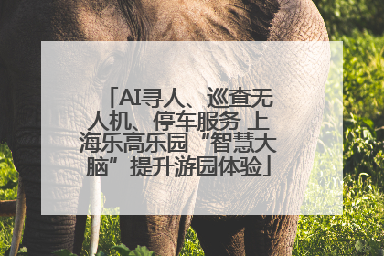 AI寻人、巡查无人机、停车服务 上海乐高乐园“智慧大脑”提升游园体验