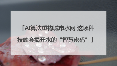 AI算法重构城市水网 这场科技峰会揭开水的“智慧密码”