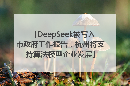 DeepSeek被写入市政府工作报告，杭州将支持算法模型企业发展