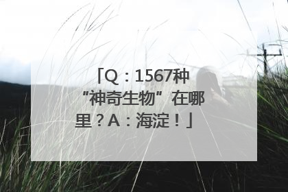 Q：1567种“神奇生物”在哪里？A：海淀！