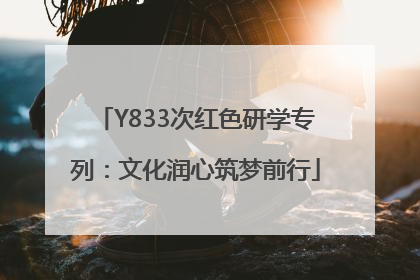 Y833次红色研学专列：文化润心筑梦前行